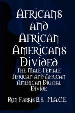 Africans and African Americans divided:the male-female African and African American digital divide