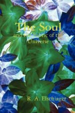 Soul and the Fabric of the Universe