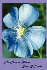 Flax In Bloom