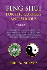 Feng Shui for the Curious and Serious Volume 1