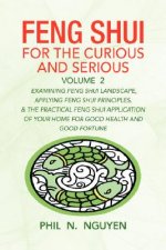 Feng Shui for the Curious and Serious Volume 2