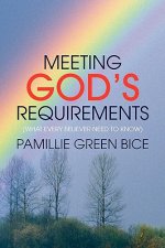 Meeting God's Requirements