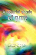 Colorful Shade of Gray