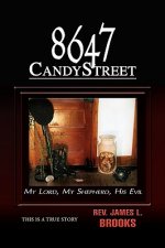 8647 Candy Street