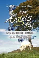 How ANGELS Fly