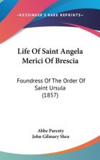 Life Of Saint Angela Merici Of Brescia: Foundress Of The Order Of Saint Ursula (1857)