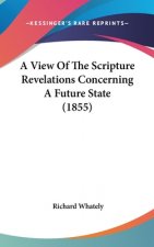 A View Of The Scripture Revelations Concerning A Future State (1855)