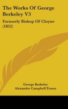 The Works Of George Berkeley V3: Formerly Bishop Of Cloyne (1852)