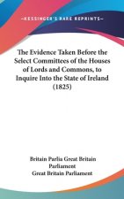The Evidence Taken Before The Select Committees Of The Houses Of Lords And Commons, To Inquire Into The State Of Ireland (1825)