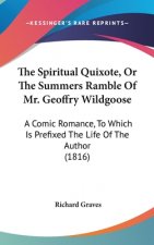 The Spiritual Quixote, Or The Summers Ramble Of Mr. Geoffry Wildgoose: A Comic Romance, To Which Is Prefixed The Life Of The Author (1816)