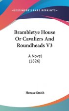 Brambletye House Or Cavaliers And Roundheads V3: A Novel (1826)