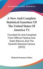 A New And Complete Statistical Gazetteer Of The United States Of America V2: Founded On And Compiled From Official Federal And State Returns, And The