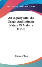 An Inquiry Into The Origin And Intimate Nature Of Malaria (1858)