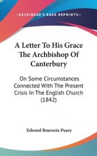 A Letter To His Grace The Archbishop Of Canterbury: On Some Circumstances Connected With The Present Crisis In The English Church (1842)