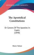 The Apostolical Constitutions: Or Canons Of The Apostles In Coptic (1848)