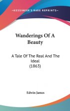 Wanderings Of A Beauty: A Tale Of The Real And The Ideal (1863)