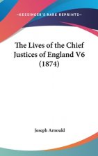 The Lives Of The Chief Justices Of England V6 (1874)