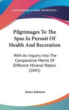 Pilgrimages To The Spas In Pursuit Of Health And Recreation: With An Inquiry Into The Comparative Merits Of Different Mineral Waters (1841)