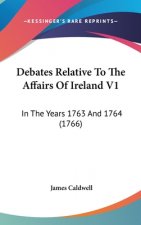 Debates Relative To The Affairs Of Ireland V1: In The Years 1763 And 1764 (1766)