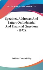 Speeches, Addresses And Letters On Industrial And Financial Questions (1872)