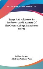 Essays And Addresses By Professors And Lecturers Of The Owens College, Manchester (1874)