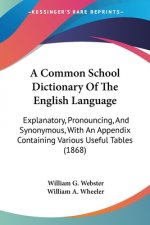 A Common School Dictionary Of The English Language: Explanatory, Pronouncing, And Synonymous, With An Appendix Containing Various Useful Tables (1868)