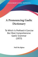 A Pronouncing Gaelic Dictionary: To Which Is Prefixed A Concise But Most Comprehensive Gaelic Grammar (1833)