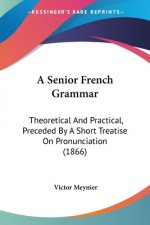 A Senior French Grammar: Theoretical And Practical, Preceded By A Short Treatise On Pronunciation (1866)