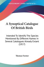 A Synoptical Catalogue Of British Birds: Intended To Identify The Species Mentioned By Different Names In Several Catalogues Already Extant (1817)