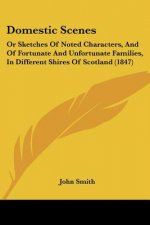 Domestic Scenes: Or Sketches Of Noted Characters, And Of Fortunate And Unfortunate Families, In Different Shires Of Scotland (1847)