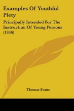 Examples Of Youthful Piety: Principally Intended For The Instruction Of Young Persons (1846)