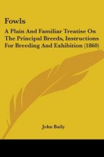 Fowls: A Plain And Familiar Treatise On The Principal Breeds, Instructions For Breeding And Exhibition (1860)