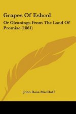 Grapes Of Eshcol: Or Gleanings From The Land Of Promise (1861)