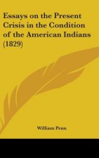 Essays On The Present Crisis In The Condition Of The American Indians (1829)