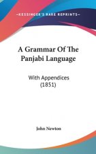 Grammar Of The Panjabi Language
