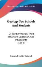 Geology For Schools And Students: Or Former Worlds, Their Structure, Condition, And Inhabitants (1854)