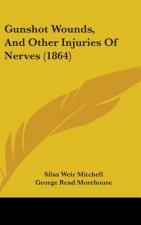 Gunshot Wounds, And Other Injuries Of Nerves (1864)