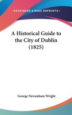 A Historical Guide To The City Of Dublin (1825)