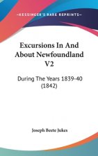 Excursions In And About Newfoundland V2: During The Years 1839-40 (1842)