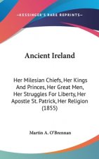 Ancient Ireland: Her Milesian Chiefs, Her Kings And Princes, Her Great Men, Her Struggles For Liberty, Her Apostle St. Patrick, Her Religion (1855)