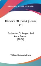 History Of Two Queens V3: Catharine Of Aragon And Anne Boleyn (1874)