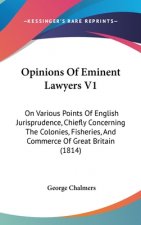 Opinions Of Eminent Lawyers V1: On Various Points Of English Jurisprudence, Chiefly Concerning The Colonies, Fisheries, And Commerce Of Great Britain