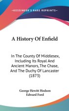 A History Of Enfield: In The County Of Middlesex, Including Its Royal And Ancient Manors, The Chase, And The Duchy Of Lancaster (1873)