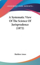A Systematic View Of The Science Of Jurisprudence (1872)
