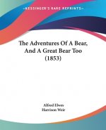 Adventures Of A Bear, And A Great Bear Too (1853)