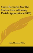 Some Remarks On The Statute Law Affecting Parish Apprentices (1829)