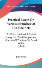 Practical Essays On Various Branches Of The Fine Arts