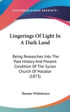 Lingerings Of Light In A Dark Land