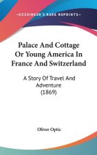 Palace And Cottage Or Young America In France And Switzerland