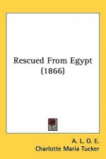 Rescued From Egypt (1866)